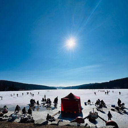 Apartmany V Ulicce Frymburk Bagian luar foto